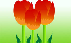 Free Vector Colorful Tulips