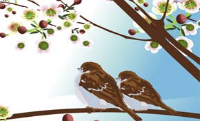 Vector birdie