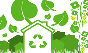Vectors-Ecology Set