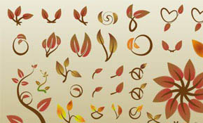 Huge Collection of Vector Leaves