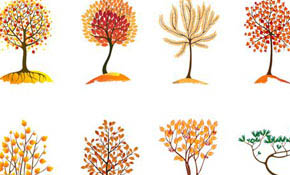 Collection of autumn trees