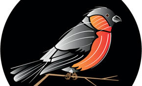 Vector Bird