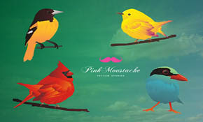 4 beautiful birds