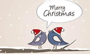 Christmas Birds Vector Graphic