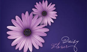 Daisy Flower Vector Graphic
