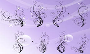 Free vector flourishes