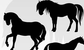 Free Vector Horses