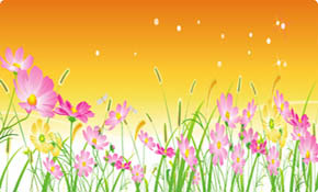 Free Vector Flowers 07