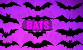 Vector Bats