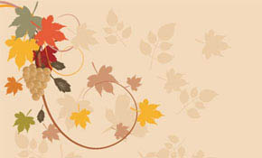 Grape Vines Vector Background