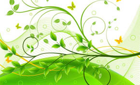 Green Floral Background