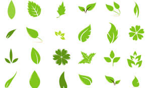 Green Leaf Design Elements