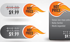 Hot Price Vector Graphic