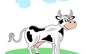illustration of cow