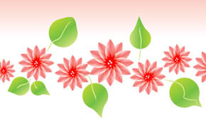 Lotus flower