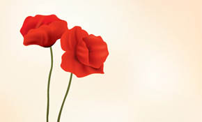 Red Flowers Vector Graphic