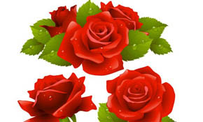 Rose Vector