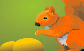 Squirrel