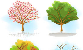Same tree in different seasons