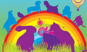 Vector Pets