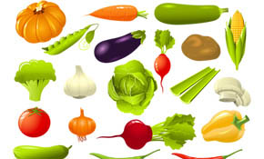 Vegetable Vector