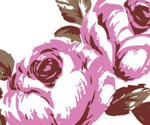 Free Flower Vector