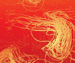 Fire lines scribbles vector