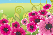Flower field
