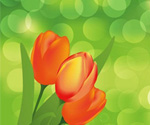 Flower Background