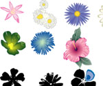 Flower Vector Set in Color
