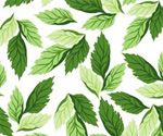Seamless Leaf Pattern