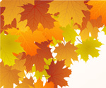 Floral background