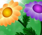 Free Vector Chrysanthemum