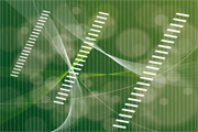 Abstract Green Line Vector Backgrou