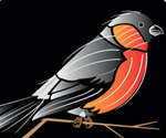 Vector Bird