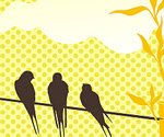birds  flowers