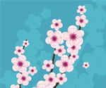 Blossom Flower Vector Graphic