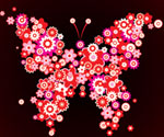 Butterfly Vector Vector Graphic
