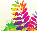 Colorful Spring Vector Graphic