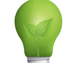 Eco Light Bulb Vector Graphic