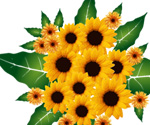 Flowers Bouquet
