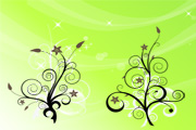 Floral Vector Art