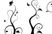 Vector Floral Elements