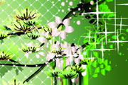 Free Vector Flowers