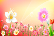 Free Vector Flowers 04