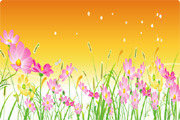 Free Vector Flowers 07