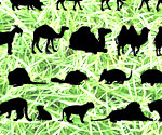 Free Vector Animals