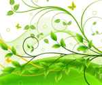 Green Floral Background