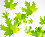Abstract Leaf Background