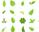 Green Leaf Design Elements